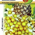 Физалис  Ананасовый Физалис  Ананасовый