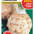 Сельдерей Корневой Грибовский