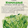 Салат Листовой Изумрудный Салат Листовой Изумрудный